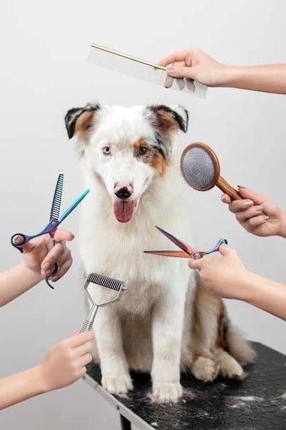 A way to prepare a male dog before all the grooming.